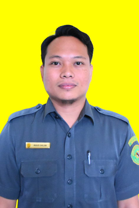 PENGADILAN AGAMA KOLAKA - Profil PPPK